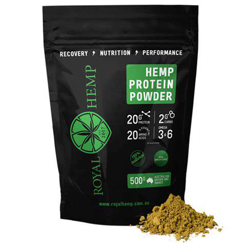 Top 5 Plant Based Protein Powders