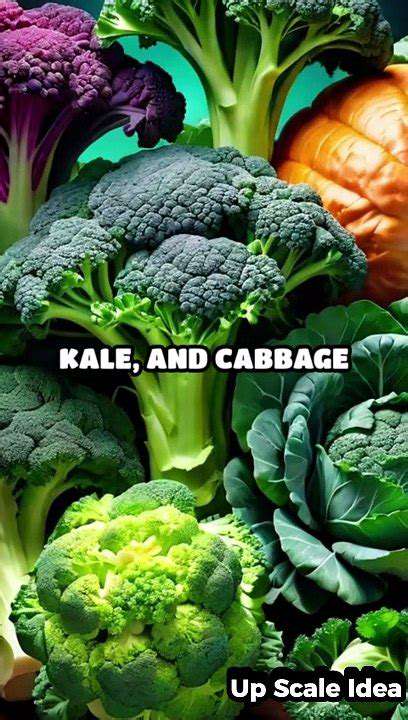 The Best Sources of Antioxidants in Food