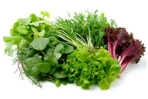 LeafyGreens:NutritionalPowerhouseswithAntioxidants