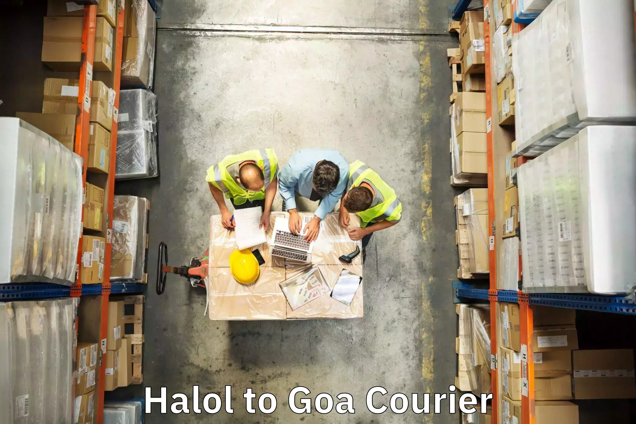 Multi-service courier options Halol to Panaji