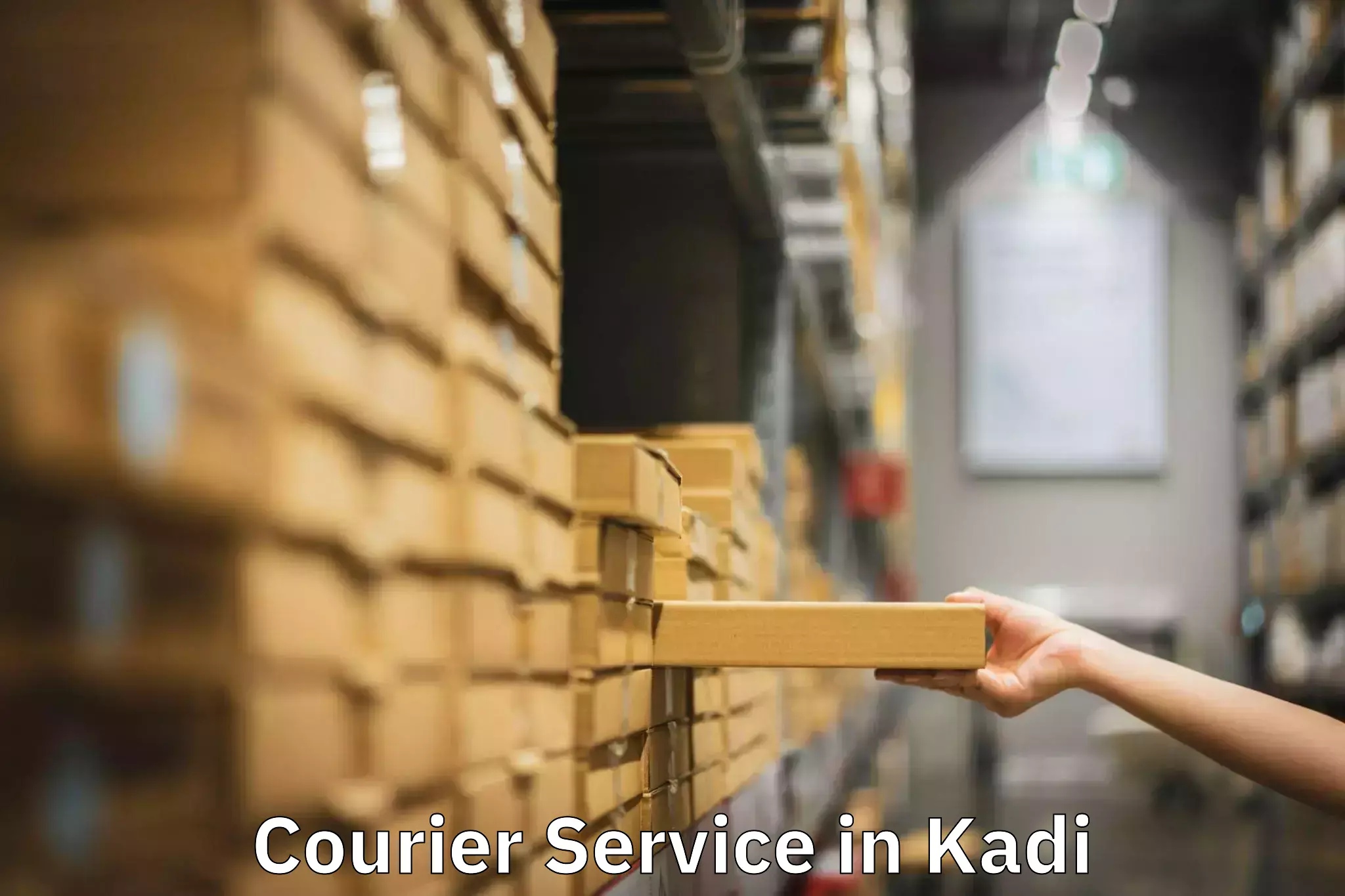 Customer-focused courier in Kadi