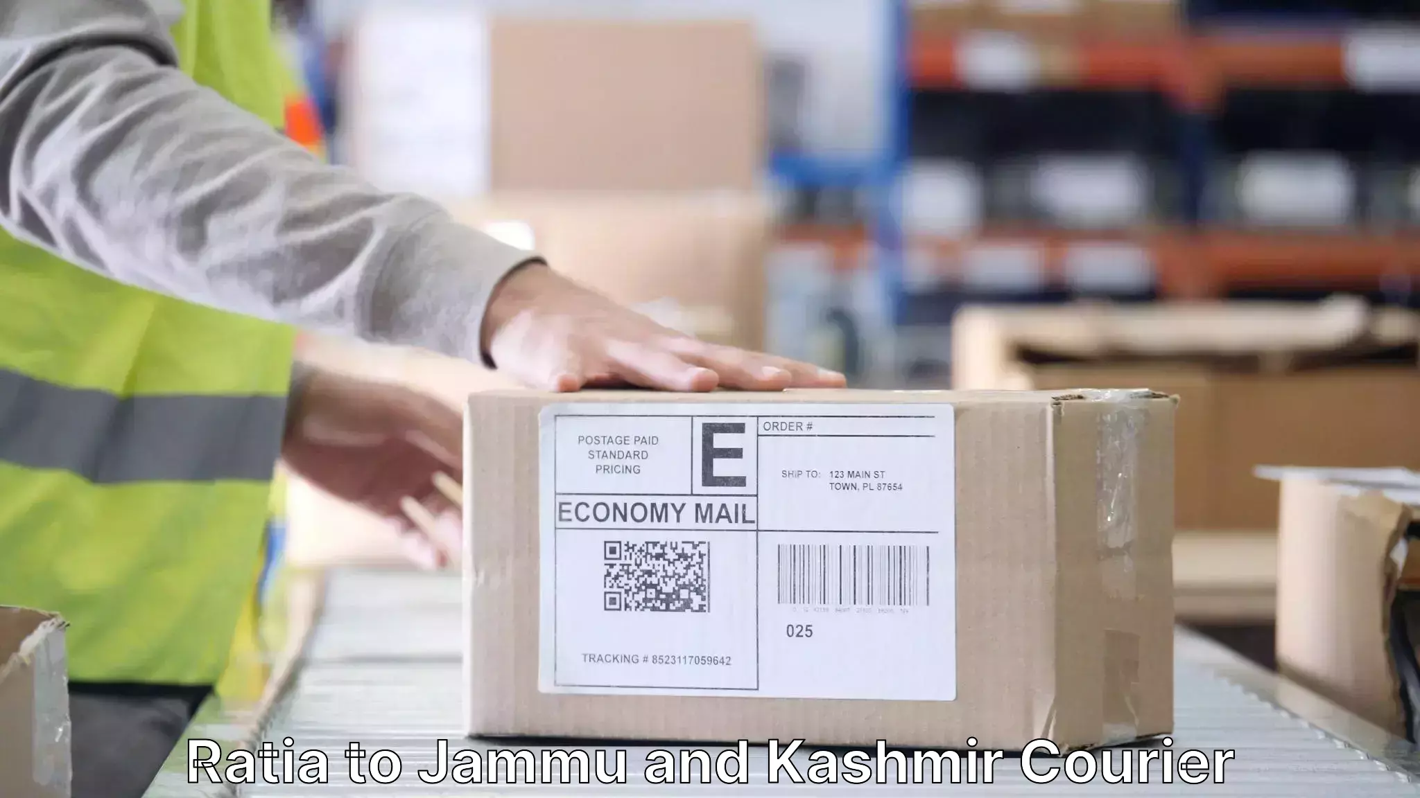 Furniture delivery service Ratia to Srinagar Kashmir