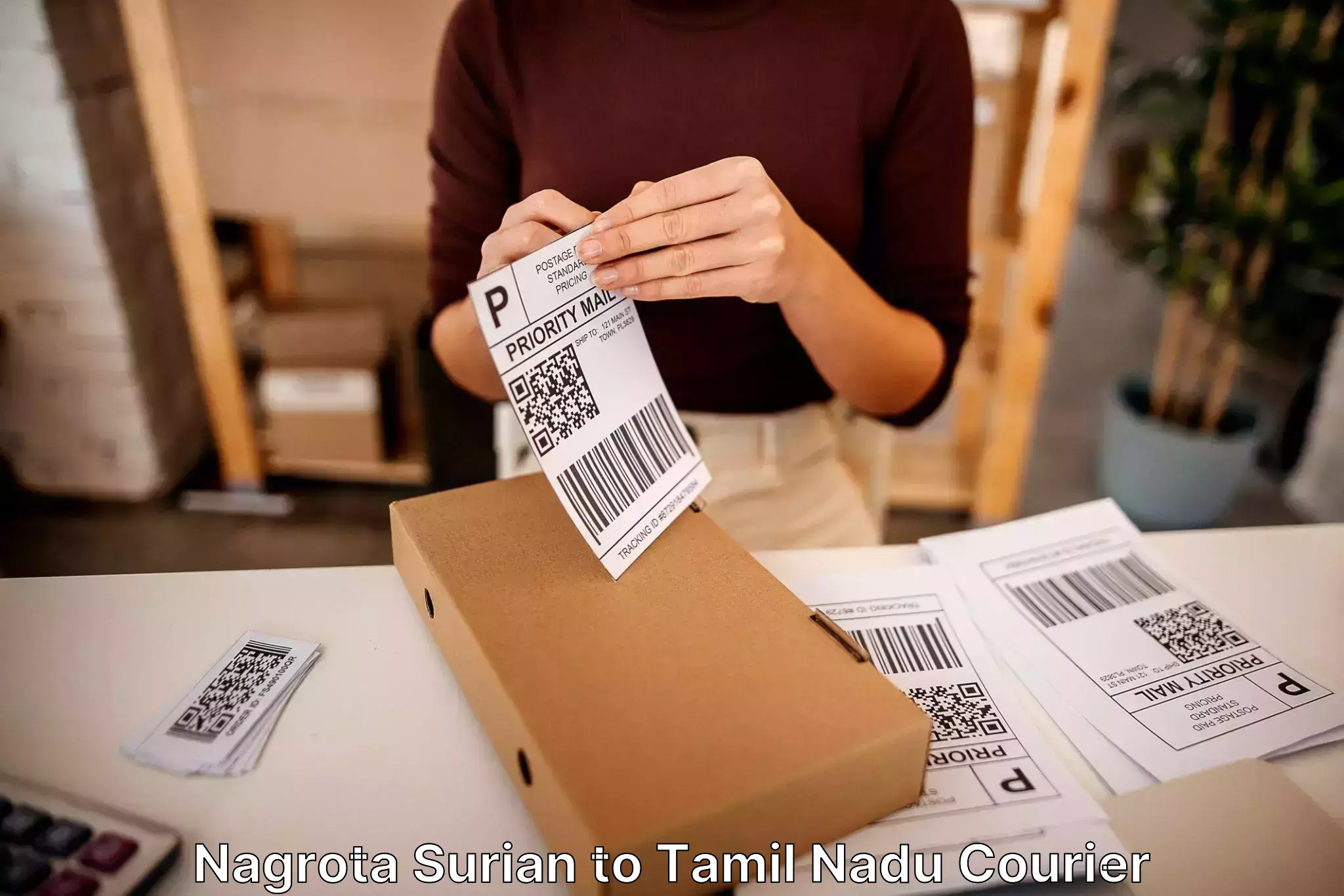 Home moving experts Nagrota Surian to Tamil Nadu