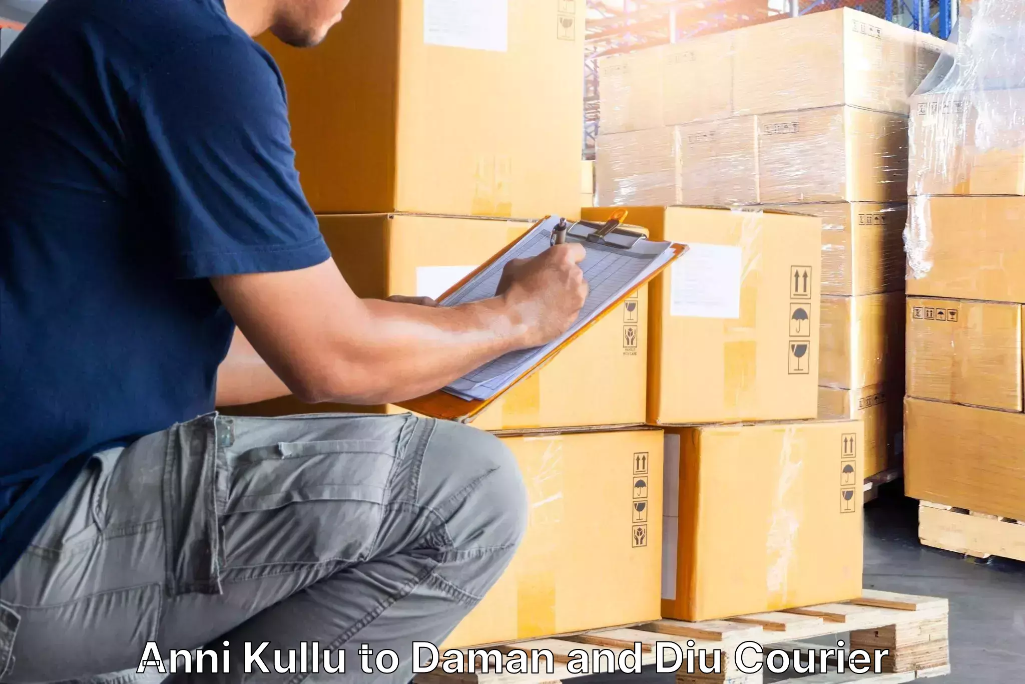 Trusted furniture movers Anni Kullu to Daman and Diu