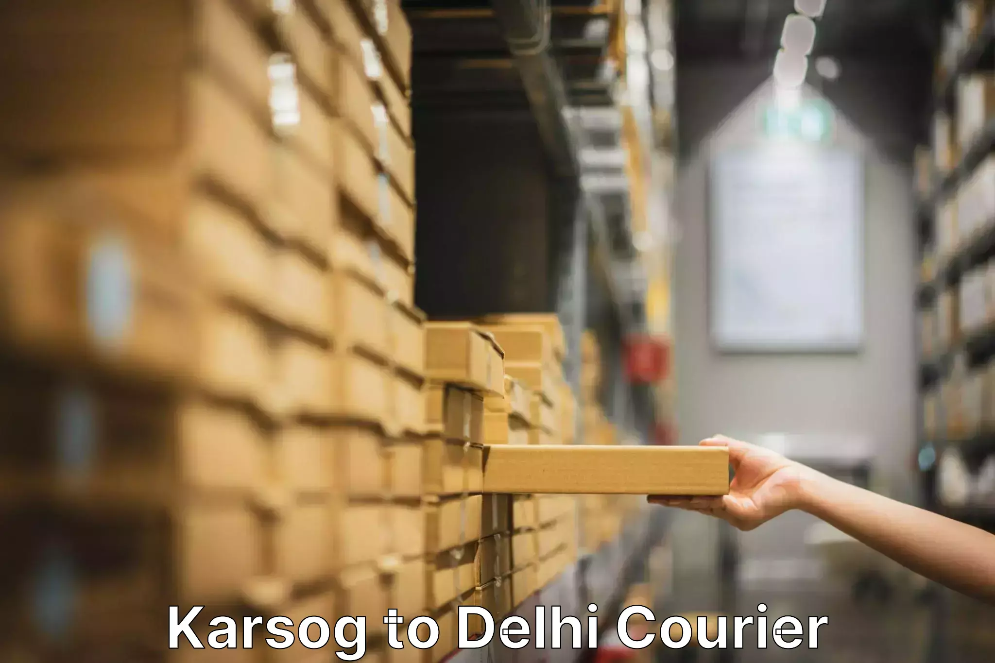 Furniture shipping services Karsog to Delhi