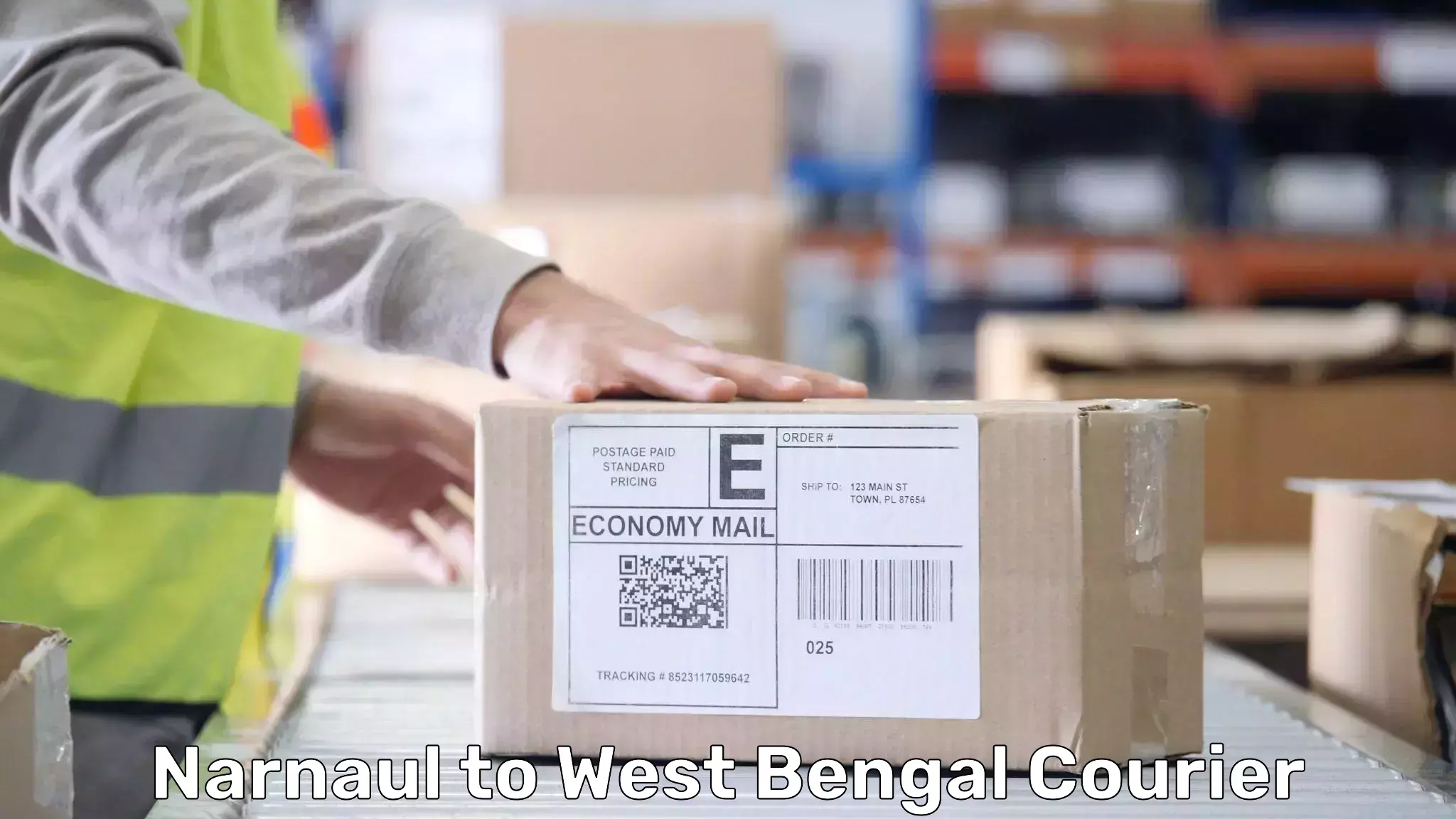 Baggage courier advice Narnaul to Udaynarayanpur