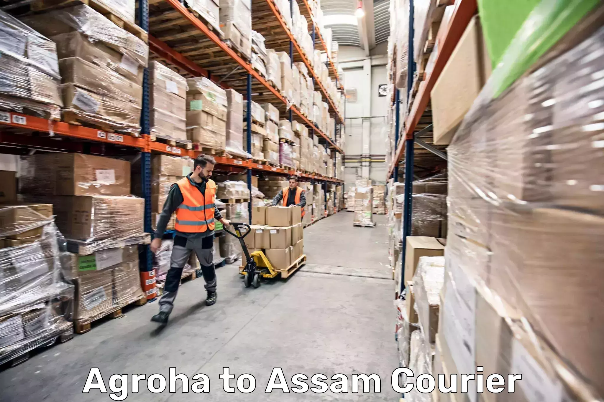 Baggage courier solutions in Agroha to Rupai Siding