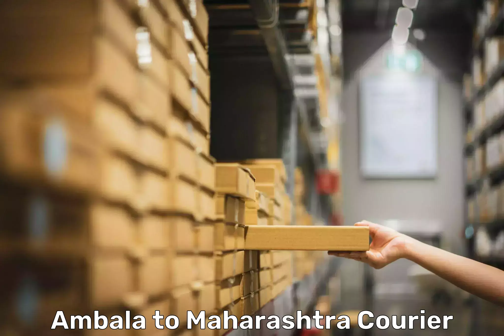 Hassle-free luggage shipping Ambala to Maharashtra