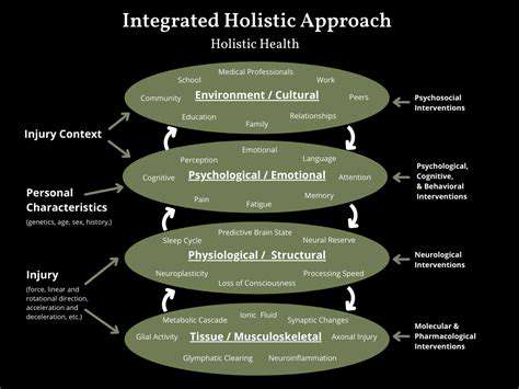 The Interplay of Organs in TCM: A Holistic View