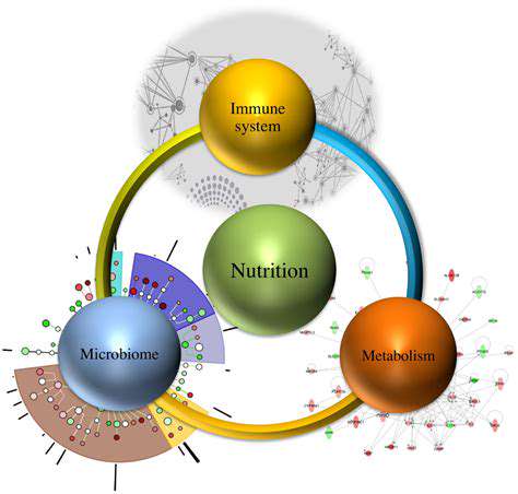 The Link Between Gut Health and Immunity