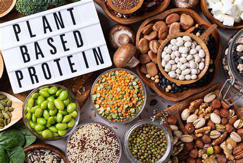 Top 5 Plant Based Protein Powders
