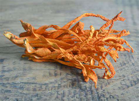 Cordyceps:TheAdaptogenwithExtraordinaryPotential