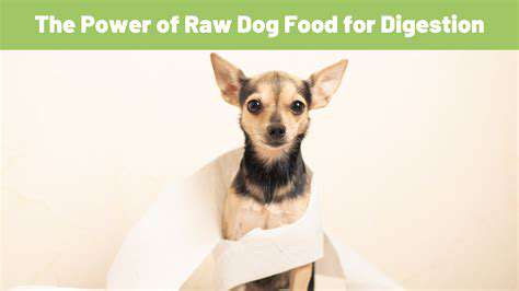 DigestiveHealthandRawFood
