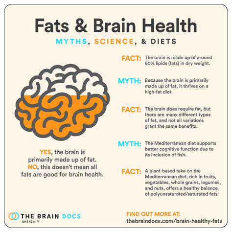 Building a Balanced Lunch: Fueling Your Afternoon