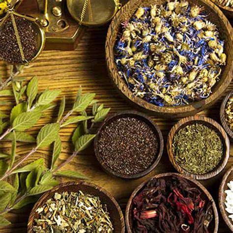 HerbalRemedies:Nature'sRespiratorySupportSystem