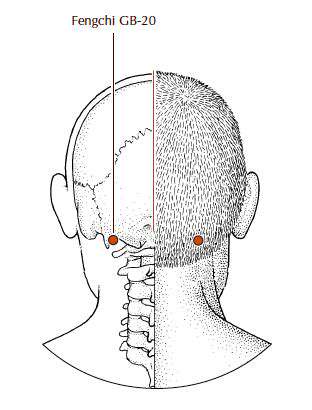 Acupressure Points for Immune Boosting
