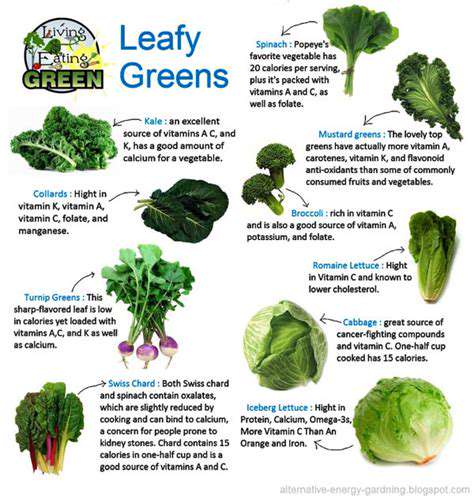 Top 10 Anti Inflammatory Foods You Need to Eat