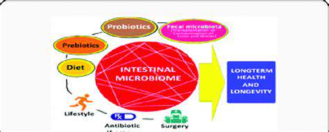 The Power of Prebiotics for a Thriving Gut