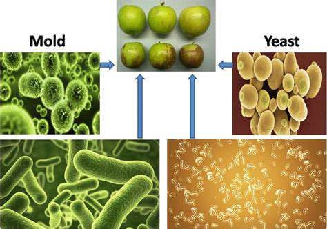 The Truth About Food Additives and Preservatives
