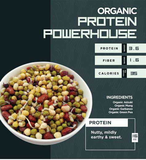 Seeds:TinyPowerhousesPackedwithProteinandNutrients