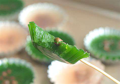Seasonal Eating in TCM: Aligning Your Diet with Nature