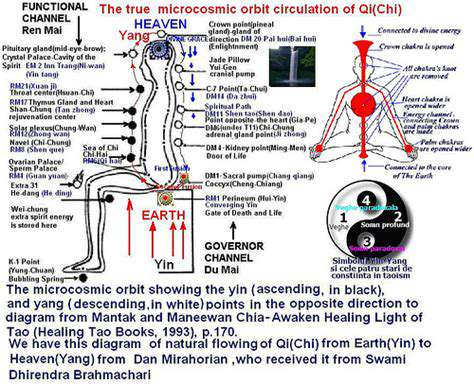 TheCirculationofQi:FuelingtheBody'sHarmony
