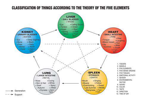 The Foundations of Traditional Chinese Medicine