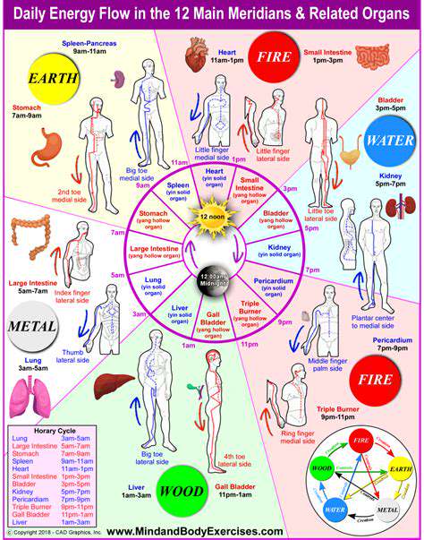 TheRoleofMeridians:PathwaysofEnergyFlow