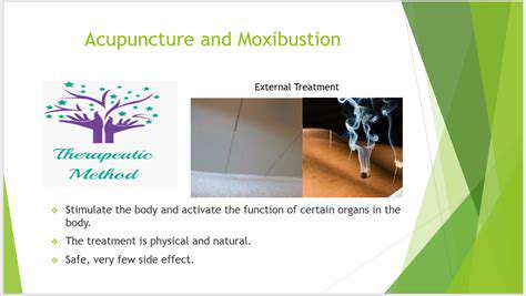 AcupunctureandMoxibustionforPainReliefandCirculationImprovement