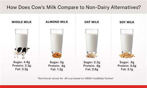 BeyondCow'sMilk:AWorldofDairy-FreeAlternatives
