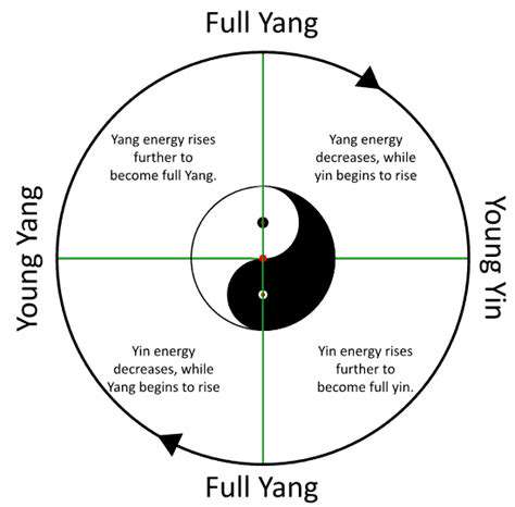 Understanding Yin and Yang in TCM: Balance for Life