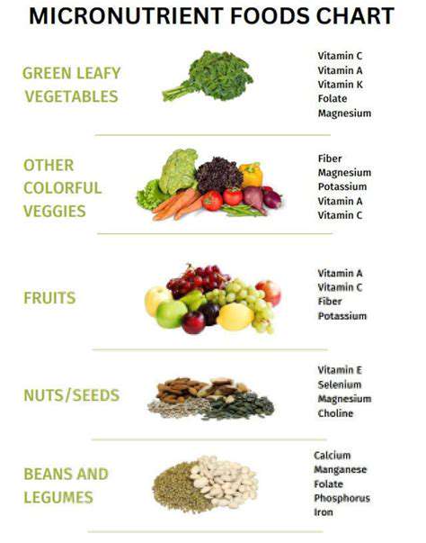Understanding Micronutrients: Your Guide to Vitamins and Minerals
