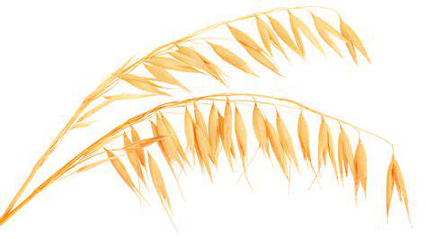 The Benefits of Cooking with Whole Grains