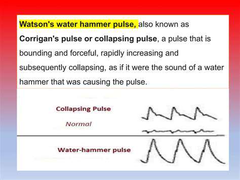 ExaminingthePulse:KeyFactorsandTheirMeanings