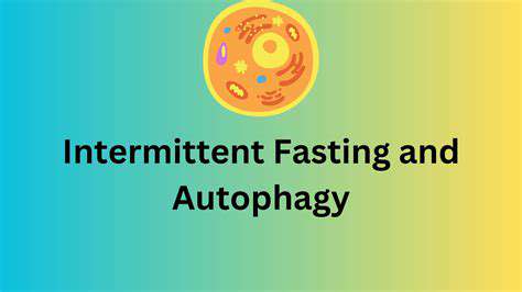 Intermittent Fasting and Autophagy: The Science