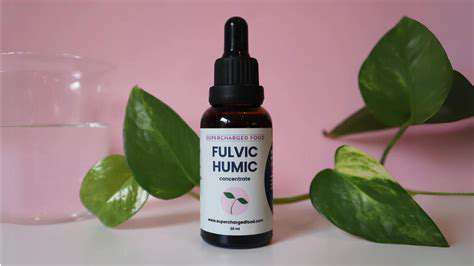 Natural Detox Methods: Supporting Your Body's Organs