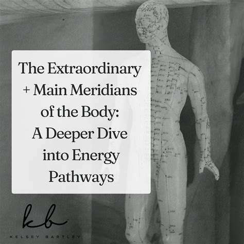 MappingtheBody'sEnergyPathways:ADeepDiveintoMeridians