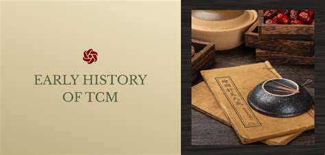The Origins of Traditional Chinese Medicine