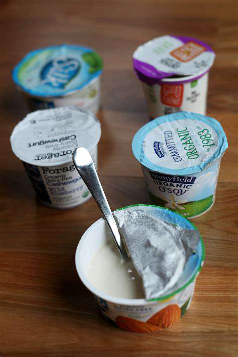 Dairy Free Yogurt Recipes for a Healthy Gut