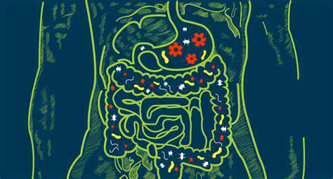 TheGut-BrainAxis:ATwo-WayStreet