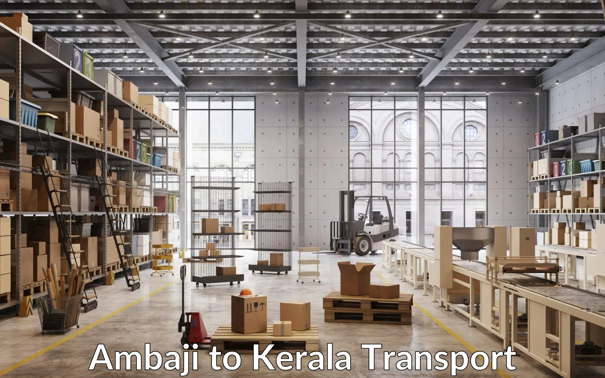 Daily parcel service transport Ambaji to Kothamangalam