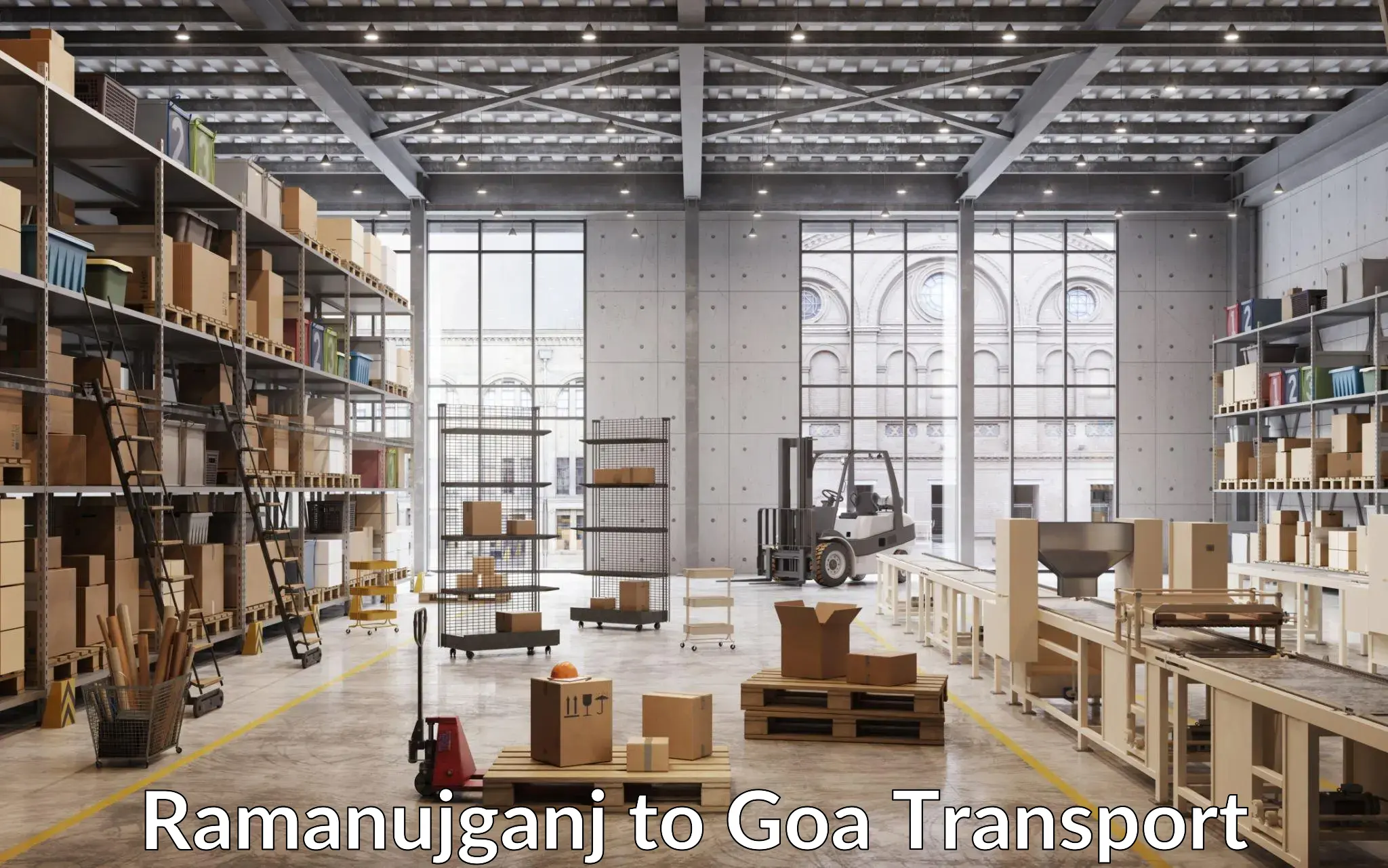 Vehicle parcel service Ramanujganj to Goa University