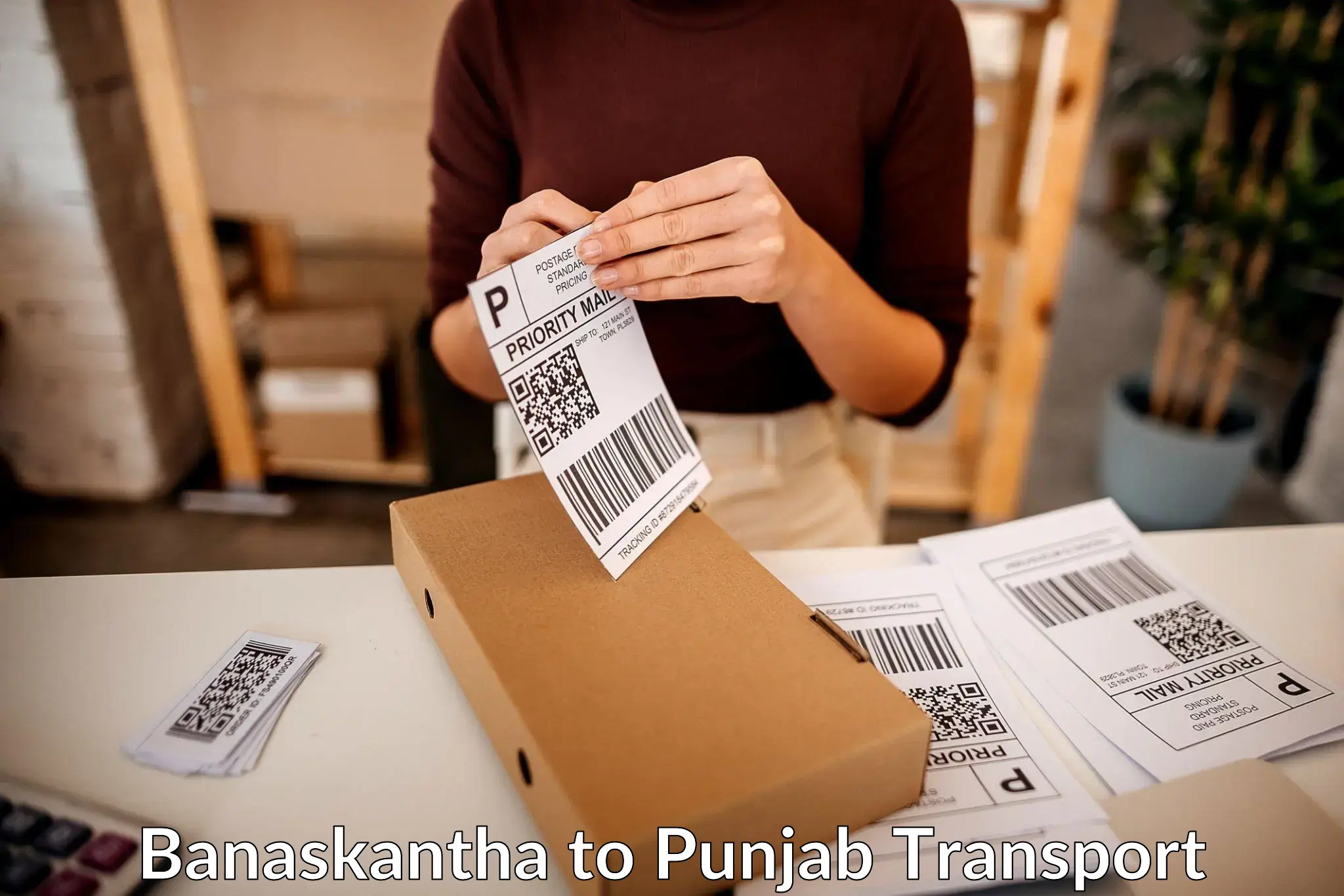 Cargo transport services Banaskantha to Thapar Institute of Engineering and Technology Patiala
