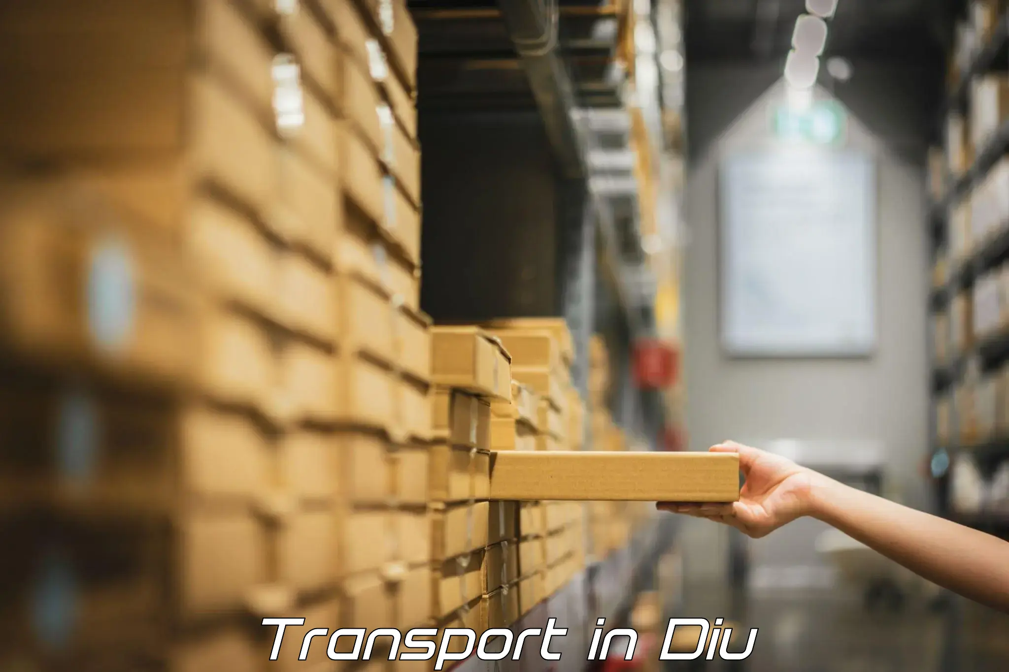 Daily parcel service transport in Diu